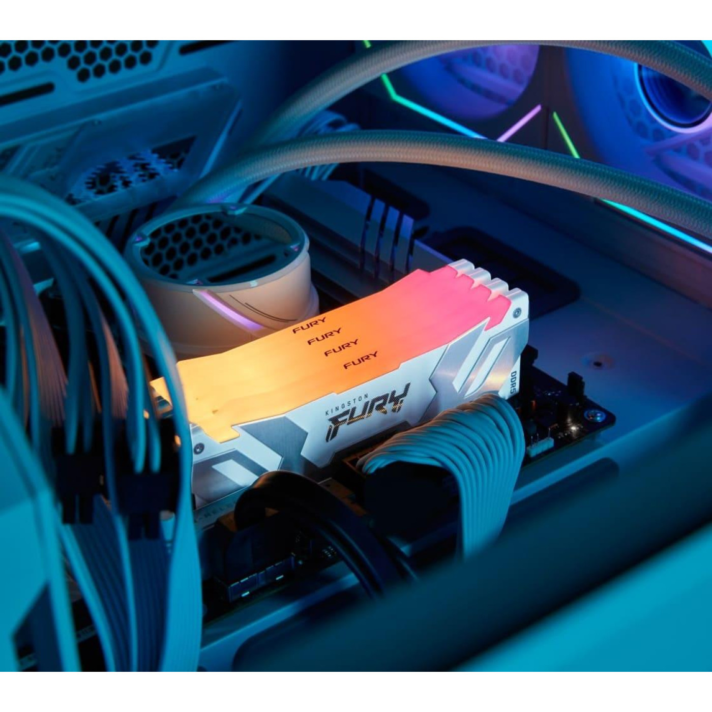 Модуль пам'яті Kingston Fury DDR5 16GB 6400MHz Renegade RGB White XMP (KF564C32RWA-16)