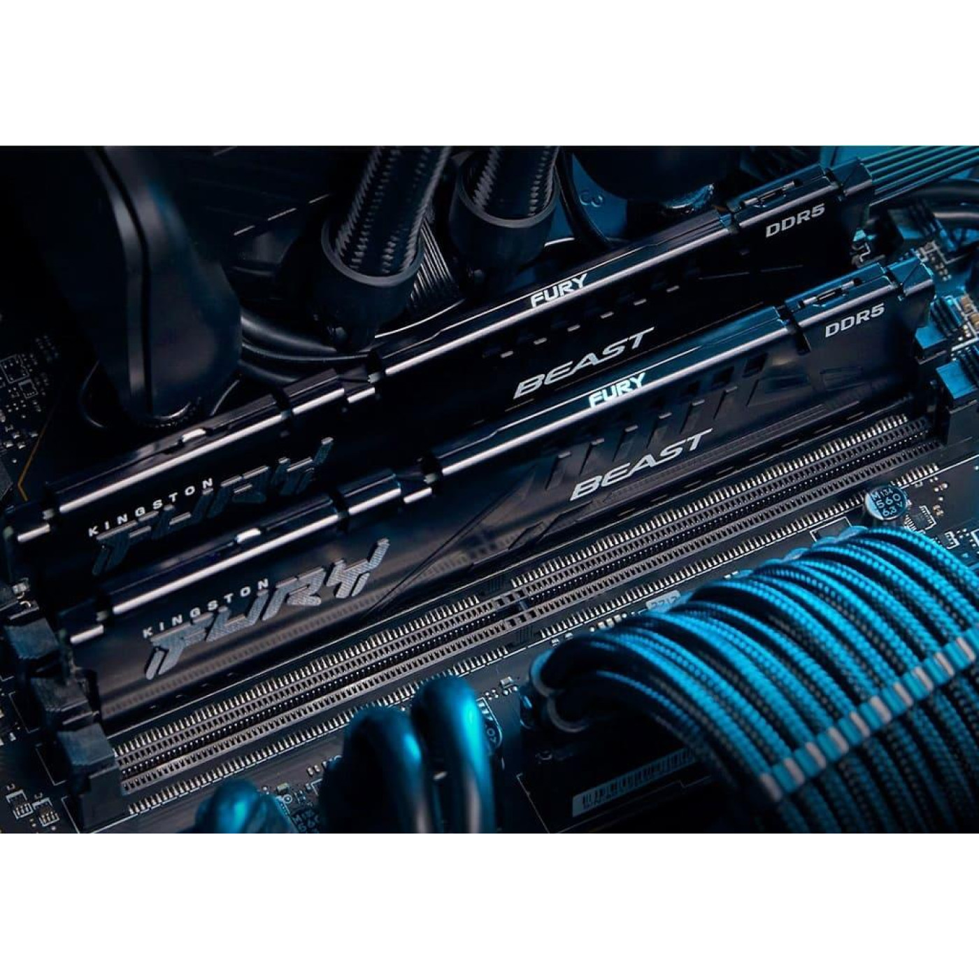 Модуль пам'яті Kingston Fury DDR5 32GB 5600MHz Beast Black (KF556C40BB-32)