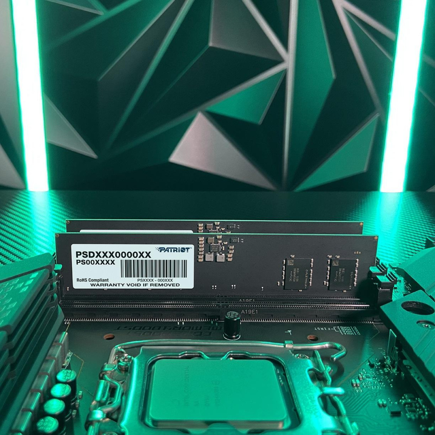 Модуль пам'яті Patriot DDR5 64GB (2x32) Signature 5600Mhz Line (PSD564G5600K)