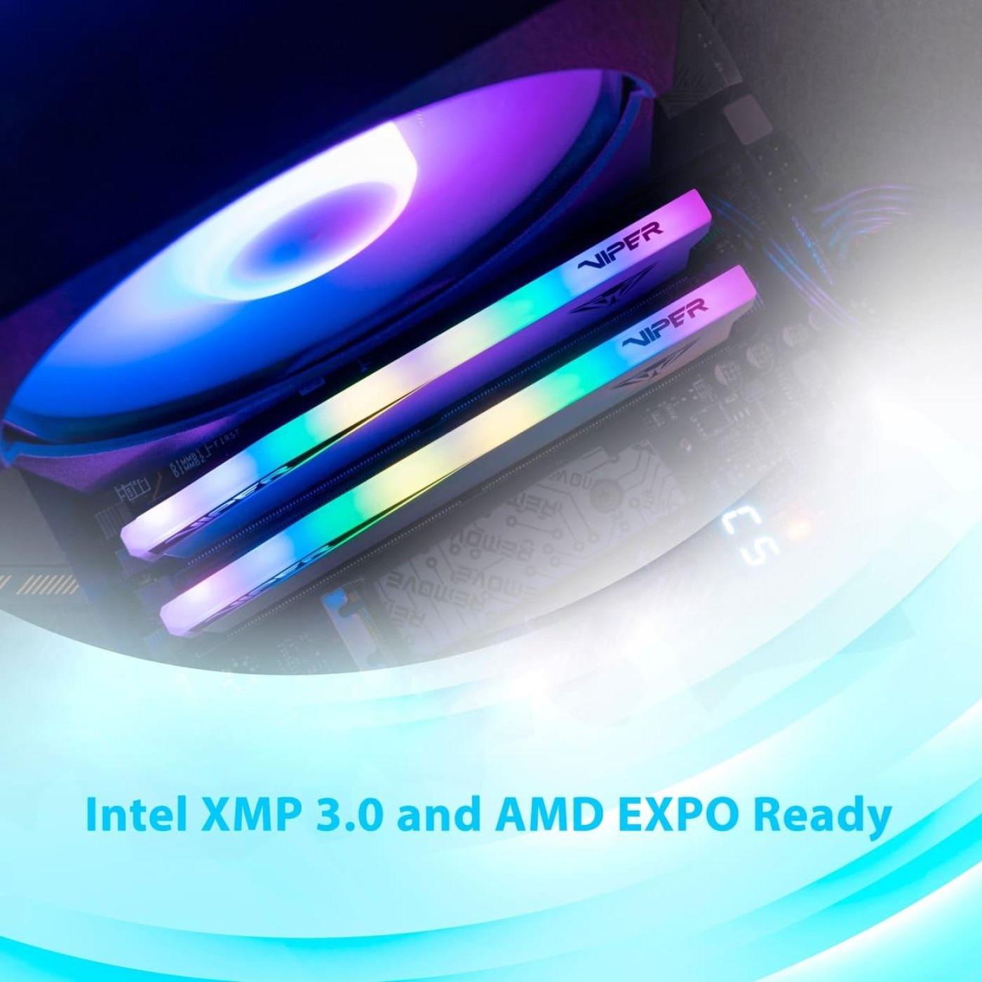 Модуль пам'яті Patriot DDR5 32Gb (2x16) Viper Elite 5 6000Mhz RGB TUF XMP/EXPO White (PVER532G60C30KW)