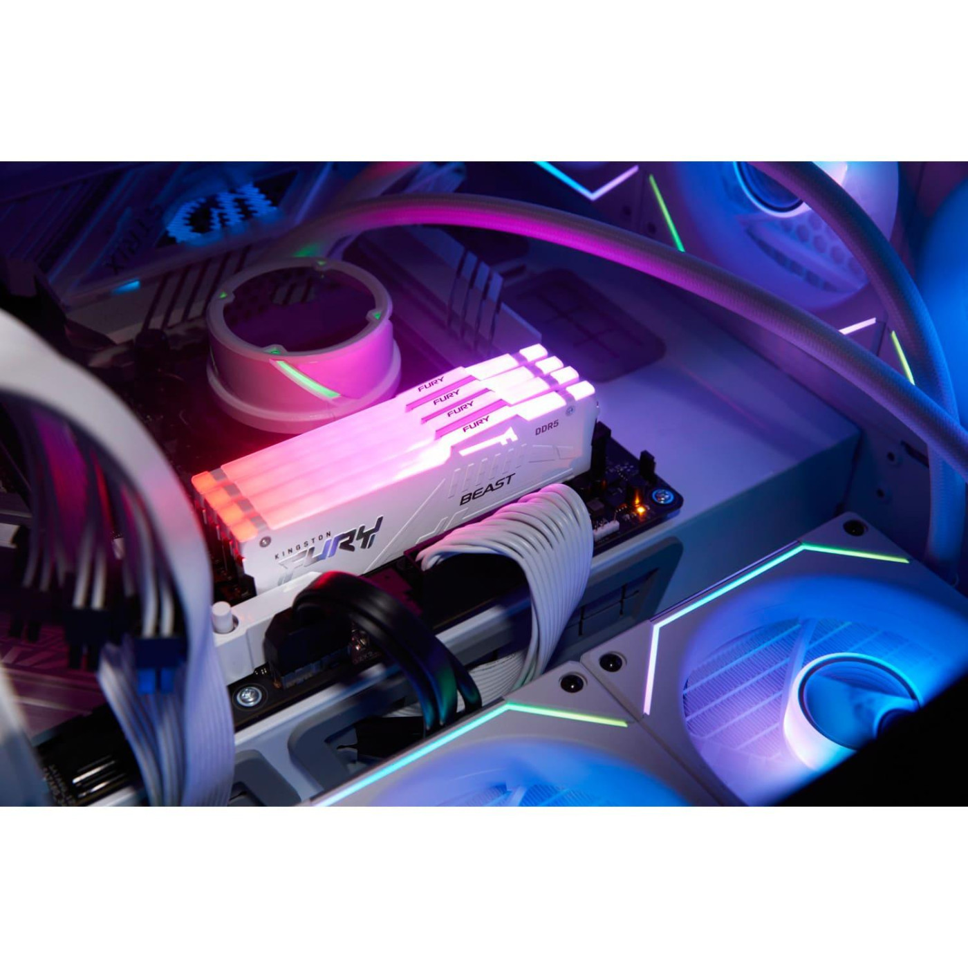 Модуль пам'яті Kingston Fury DDR5 32GB 6000MHz Beast White RGB EXPO (KF560C30BWEA-32)