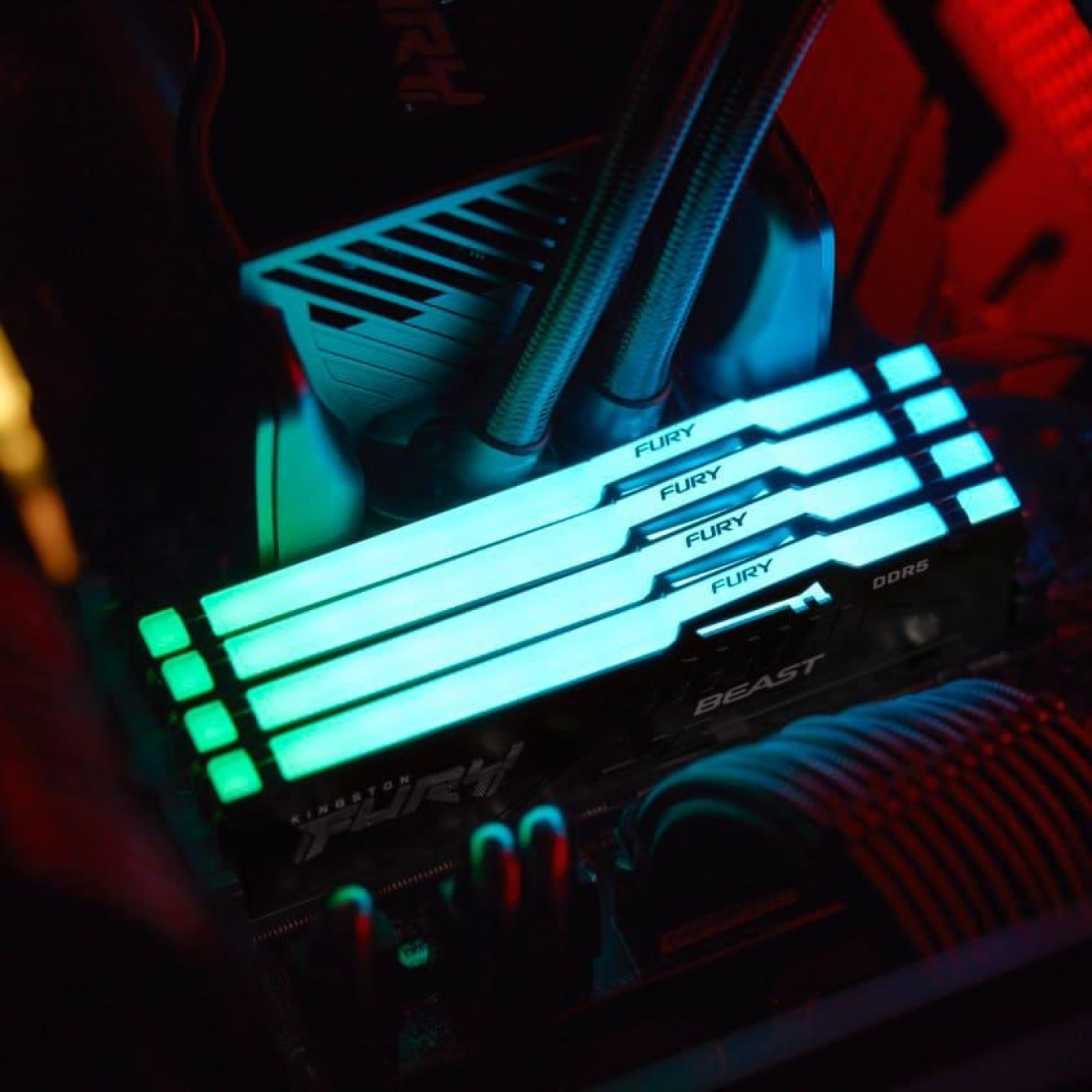 Модуль пам'яті Kingston Fury DDR5 16Gb 6000Mhz Beast Black RGB EXPO/ХMP 3.0 (KF560C36BBE2A-16)