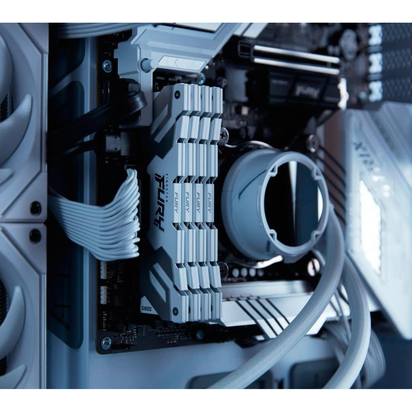 Модуль пам'яті Kingston Fury DDR5 16GB 7200MHz Renegade White XMP (KF572C38RW-16)