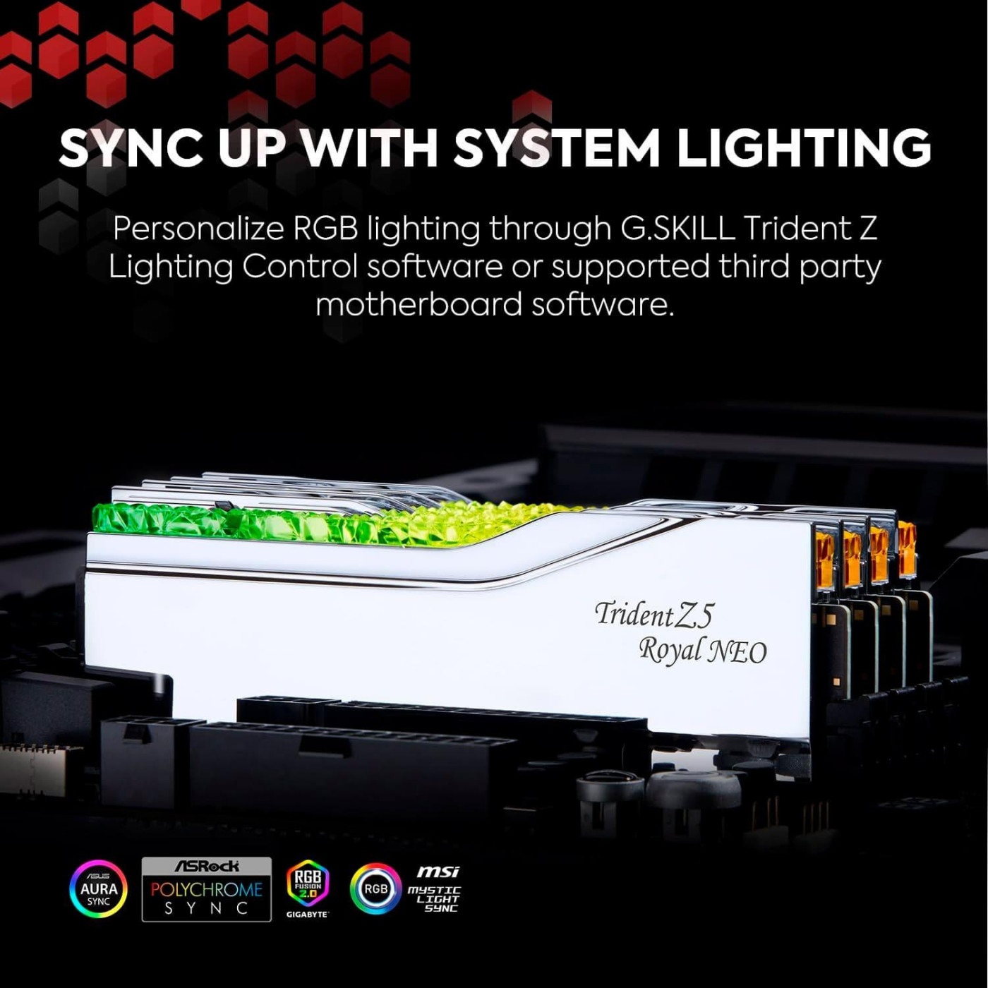 Модуль пам'яті G.Skill DDR5 32GB (2x16) Trident Z5 Royal Neo 6400Mhz AMD EXPO (F5-6400J3039G16GX2-TR5NS)