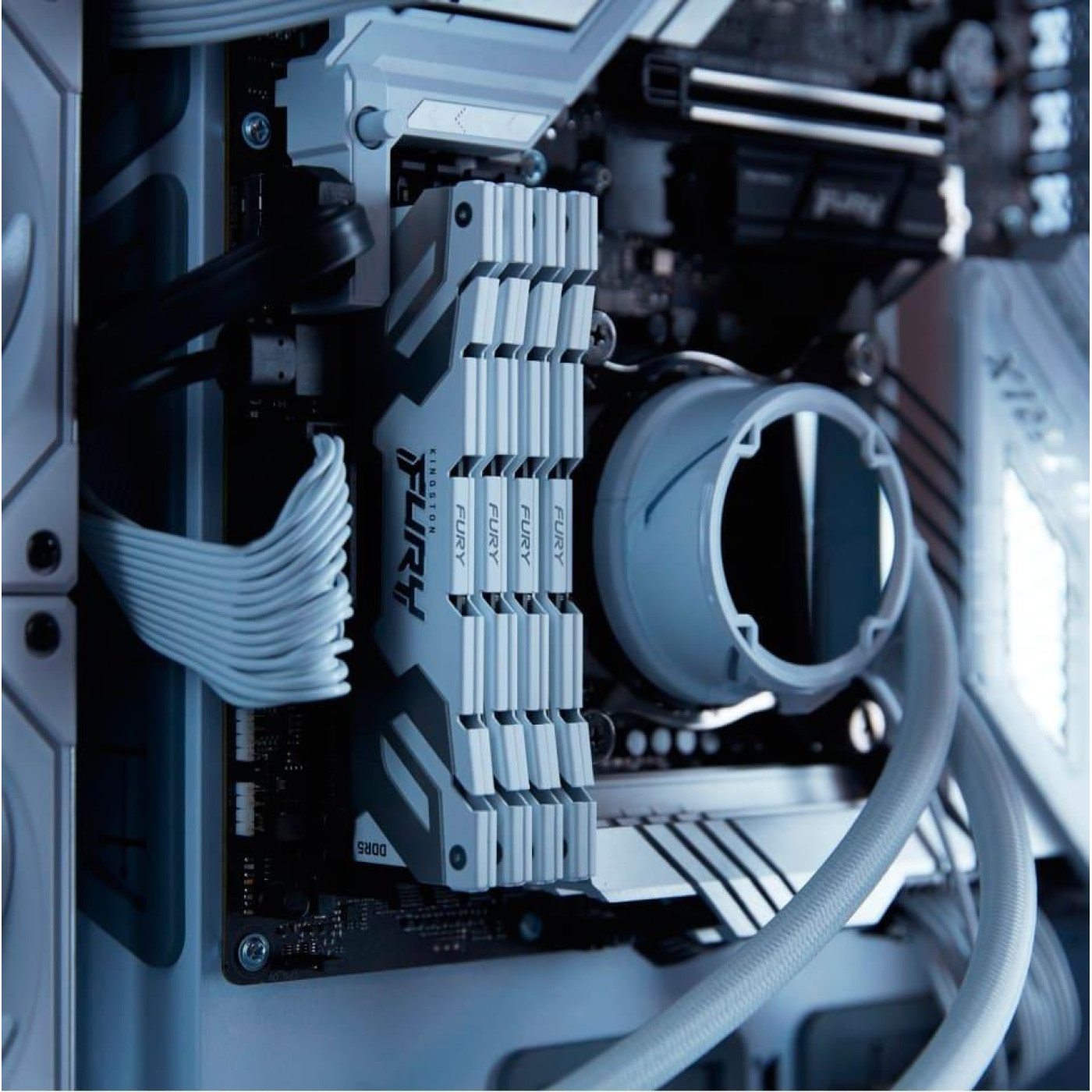 Модуль пам'яті Kingston Fury DDR5 16GB 7600MHz Renegade White XMP (KF576C38RW-16)