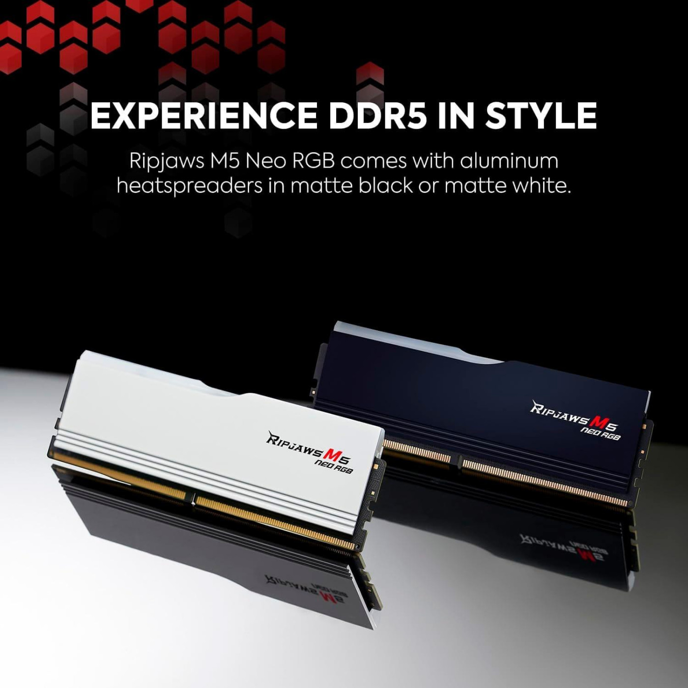 Модуль пам'яті G.Skill DDR5 32GB (2x16) Ripjaws M5 Neo 6000Mhz RGB White AMD EXPO (F5-6000J3636F16GX2-RM5NRW)