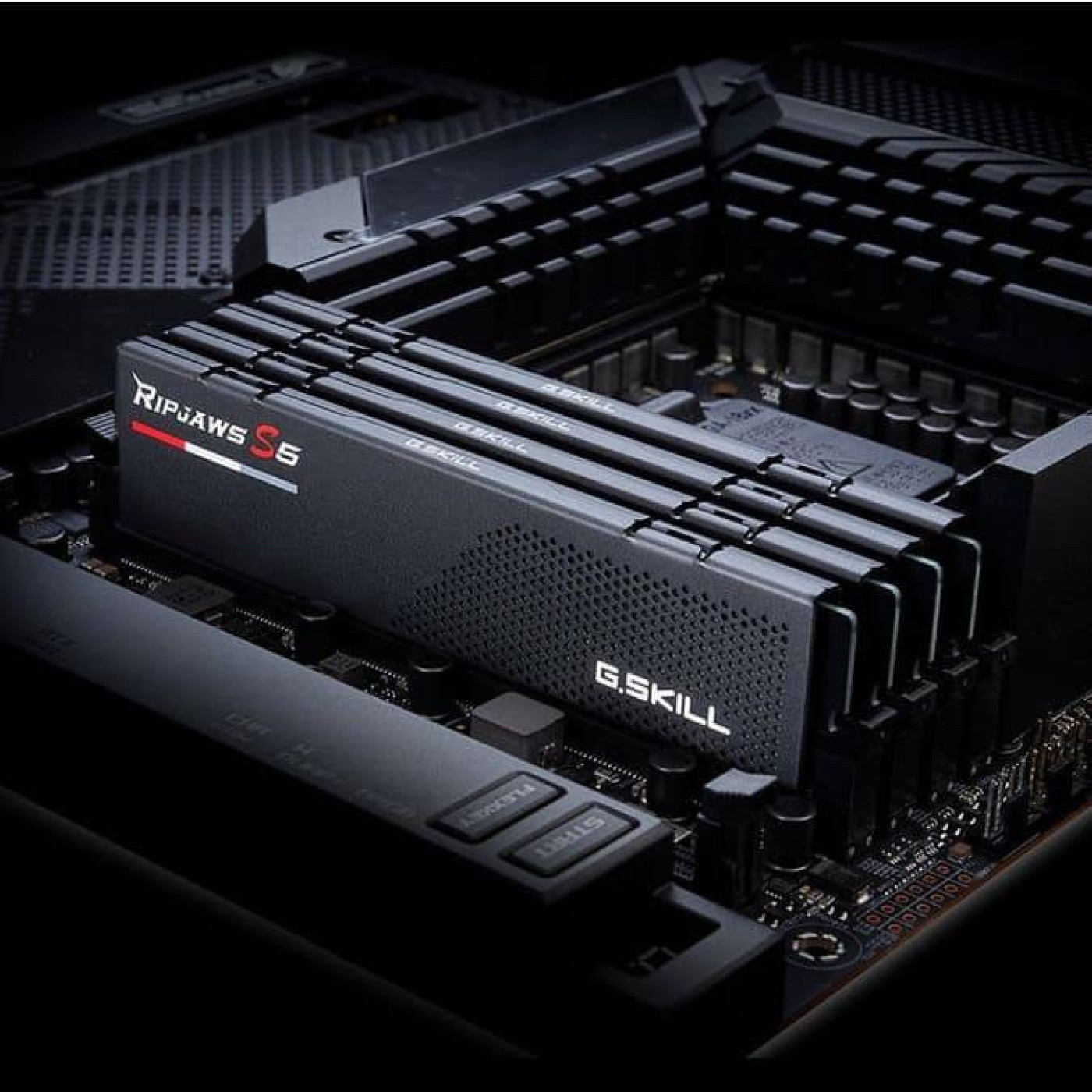 Модуль памяти G.Skill DDR5 96GB (2x48) Ripjaws S5 5200MHz Black XMP 3.0 (F5-5200J4040A48GX2-RS5K)