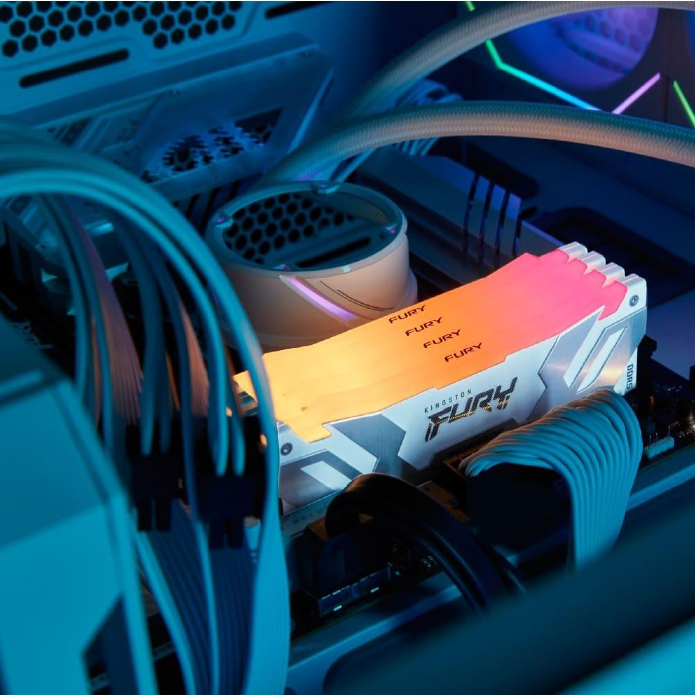 Модуль памяти Kingston DDR5 24GB FURY Renegade Silver/White RGB 8400Mhz (KF584CU40RWA-24)