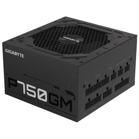 Блок живлення GIGABYTE P750GM 750W 80 Plus Gold 80+ Gold (GP-P750GM) Black