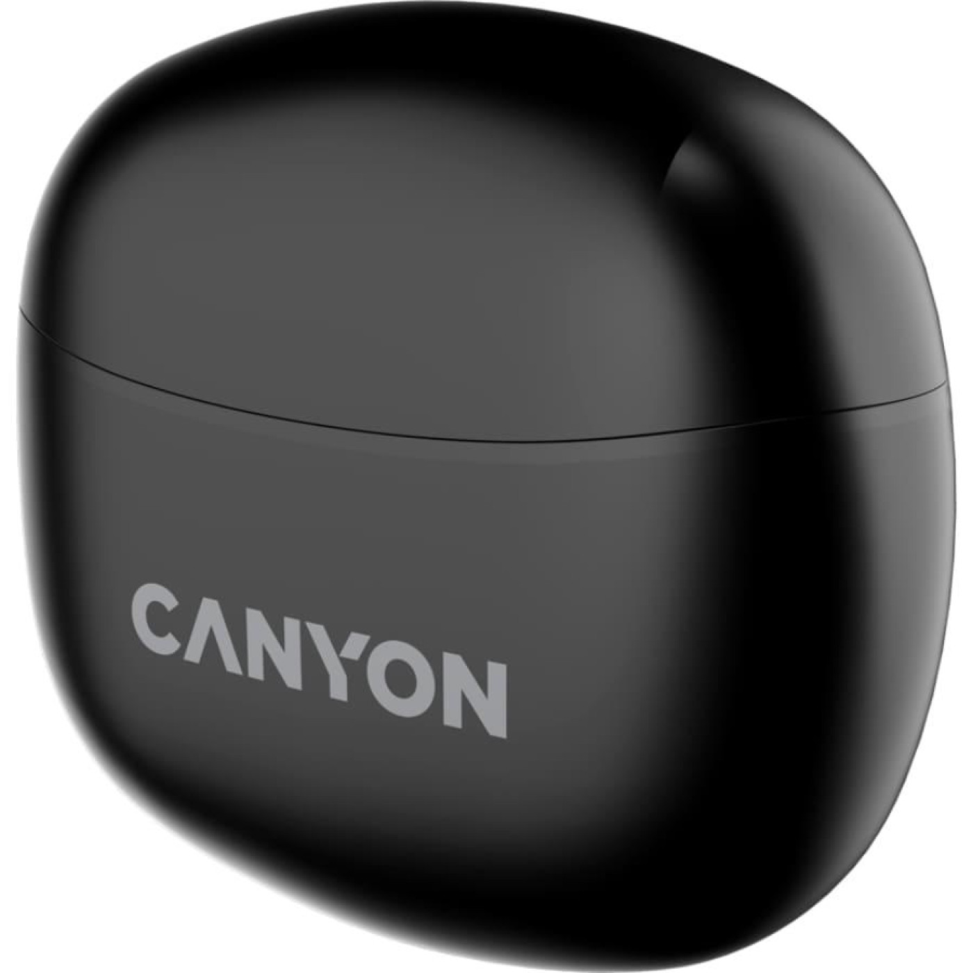 Навушники Canyon TWS TWS-5 Black (CNS-TWS5B)