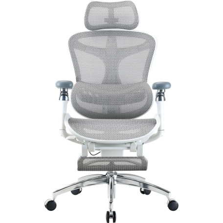 Офисное кресло Sihoo DORO C300 Pro Mesh White with footrest (DORO-C300-PRO-M102-JT)
