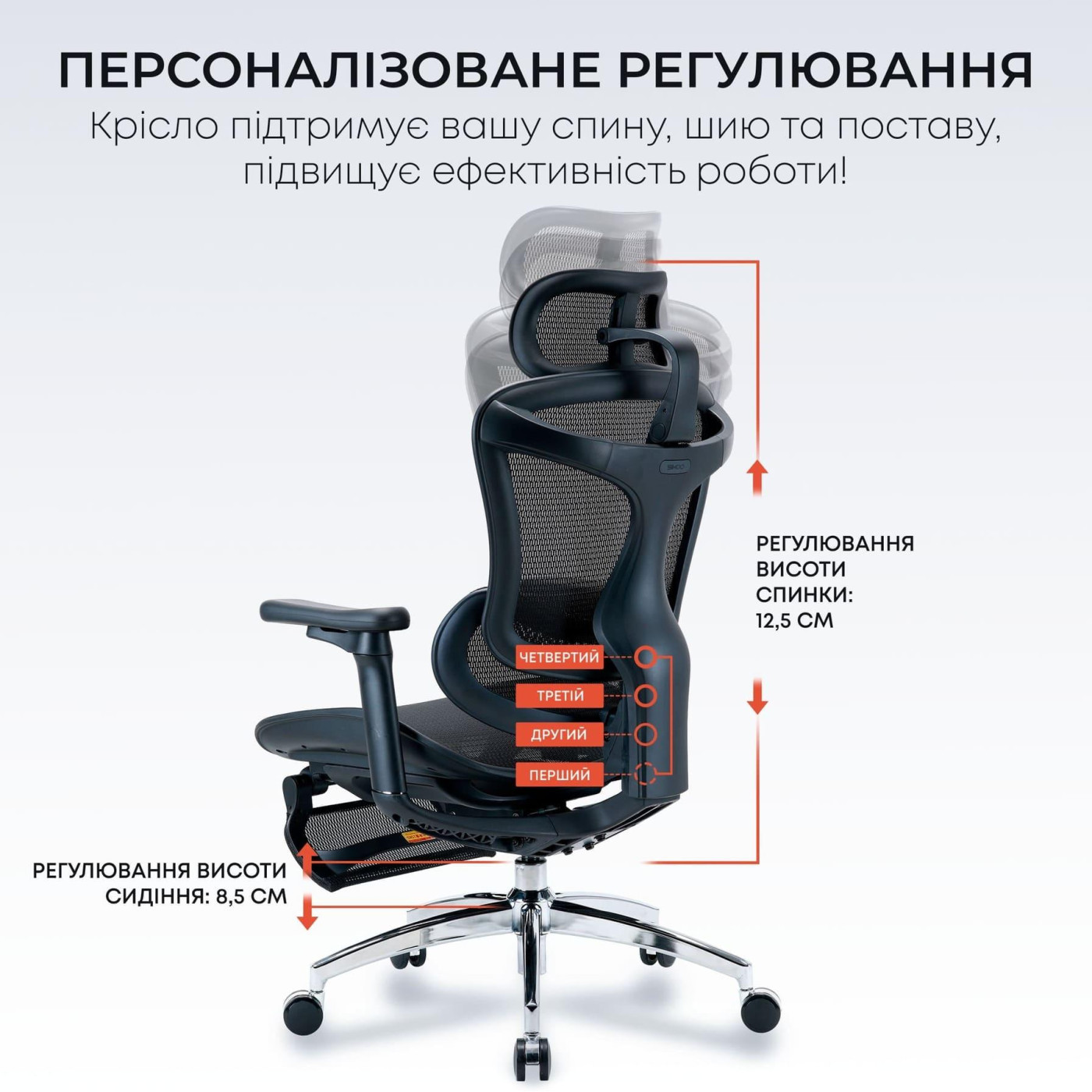 Офисное кресло Sihoo DORO C300L Mesh Black with footrest (DORO-C300L-A3-101-JT)