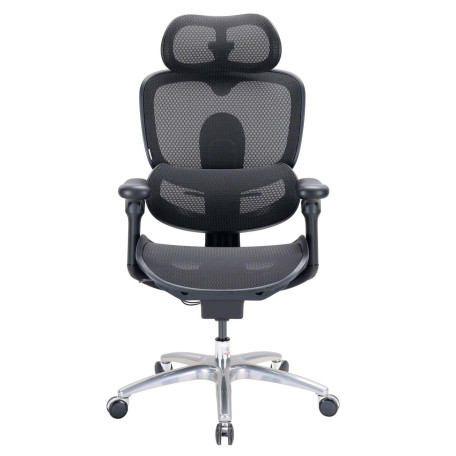 Офисное кресло Sihoo C300 LITE V2 Black (C300-LITE-V2-B101)