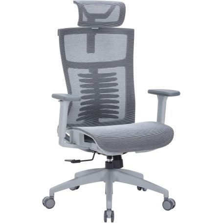 Офисное кресло OfficePro Balance OC620-G-DG-DG (OC620-G-DG-DG)