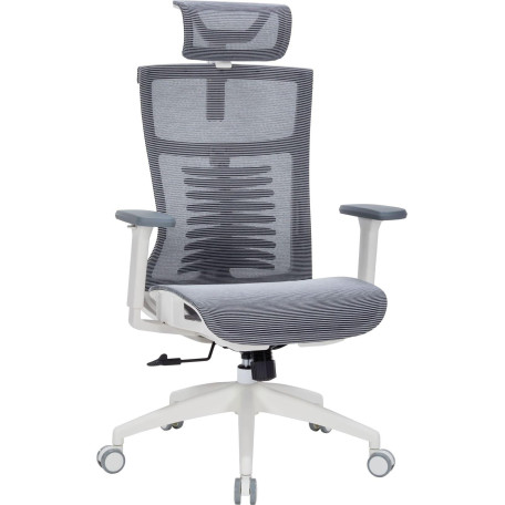 Офісне крісло OfficePro Balance OC620-W-DG-DG (OC620-W-DG-DG)