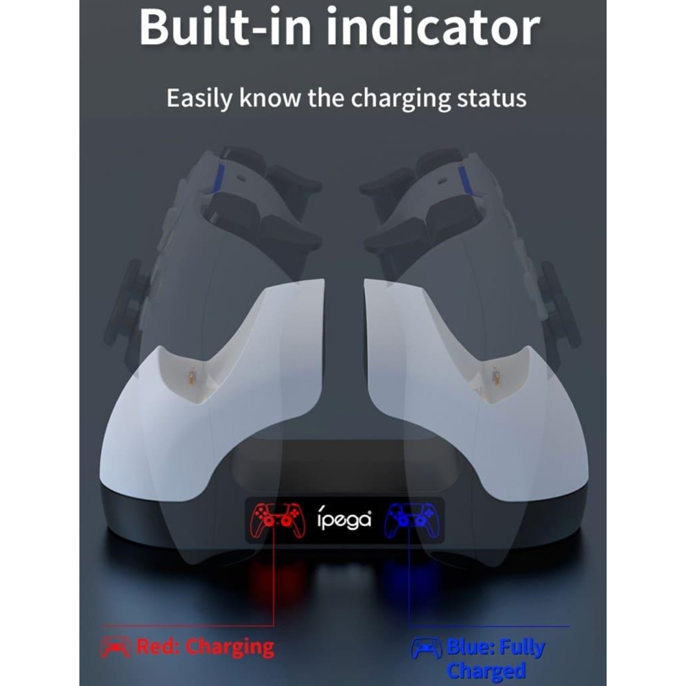 Подвійний зарядний пристрій для P5 PG-P5008