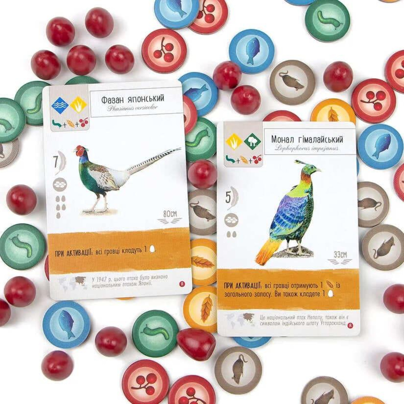 Настольная игра Крила. Птахи Азии (Wingspan: Asia Expansion) (укр.) (6391)