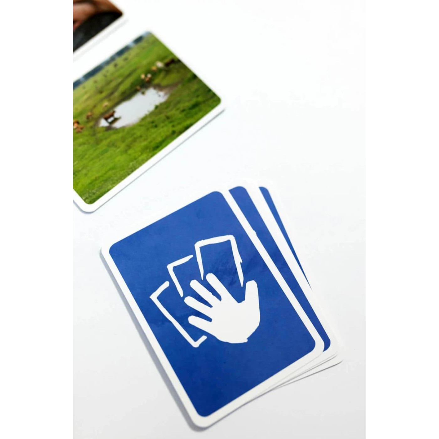 Настольная игра Ілюстрации (Pictures) (укр.) (FGS41)