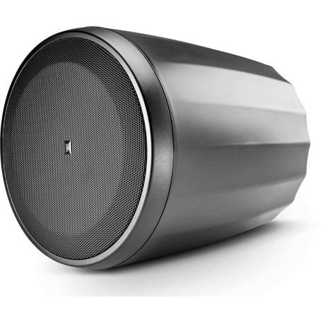 Акустическая система JBL Control 64P/T (C64P/T)
