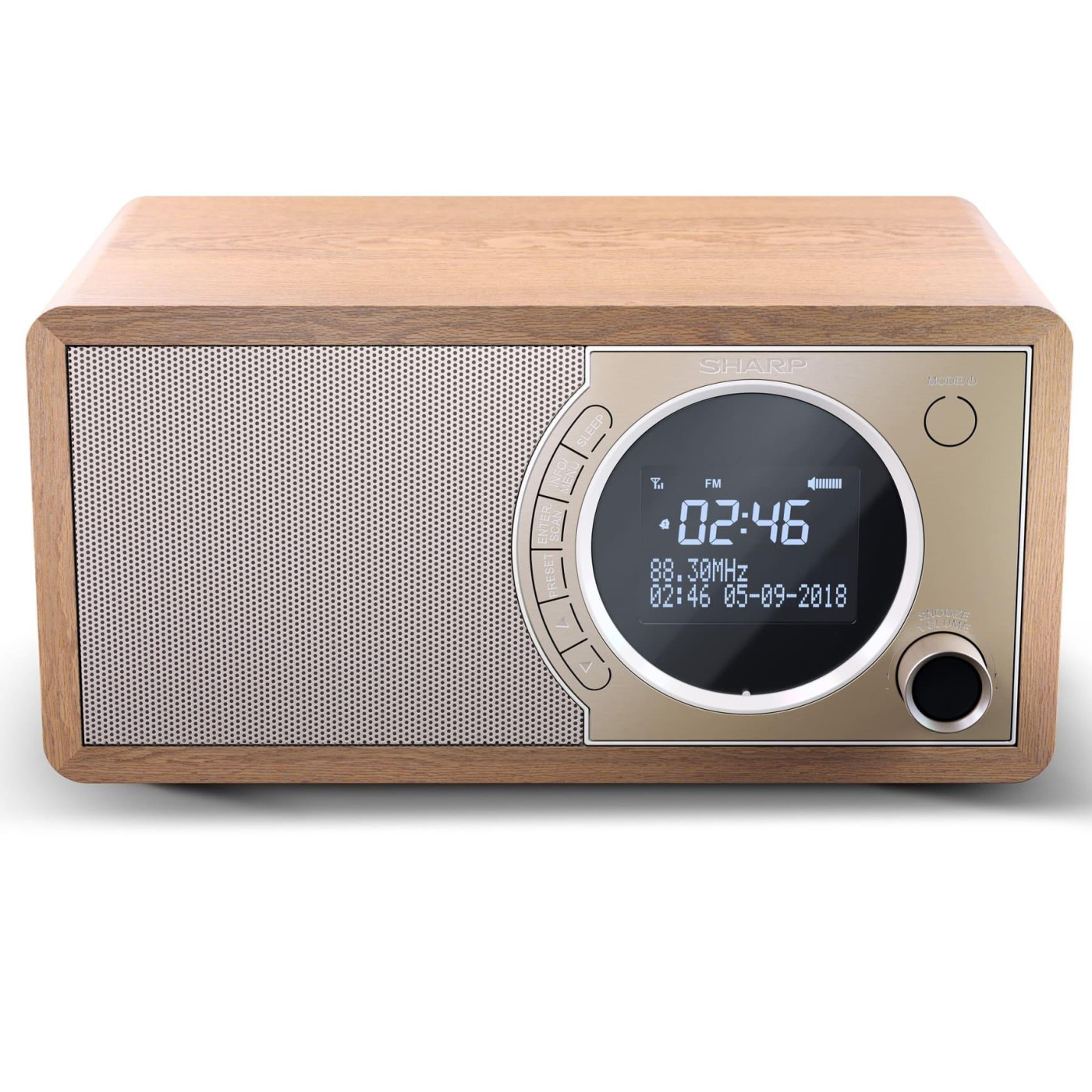 Портативна акустика Sharp DR-450(BR) (DR-450(BR))