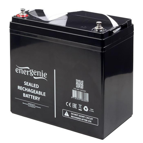 Акумуляторна батарея для ДБЖ EnerGenie AGM 12 V / 45 А*ч (BAT-12V55AH)