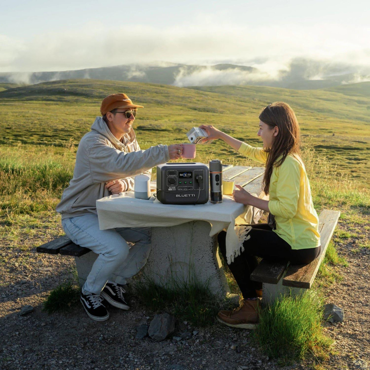 Зарядная станция BLUETTI AC50B / 700 Вт / 448 Вт/ч / LiFePO4 (AC50B)