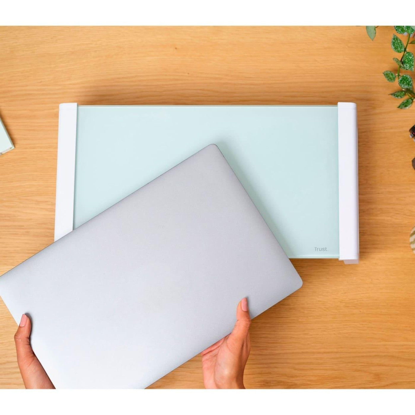 Подставка под монитор Trust Monta Glass Monitor St and White