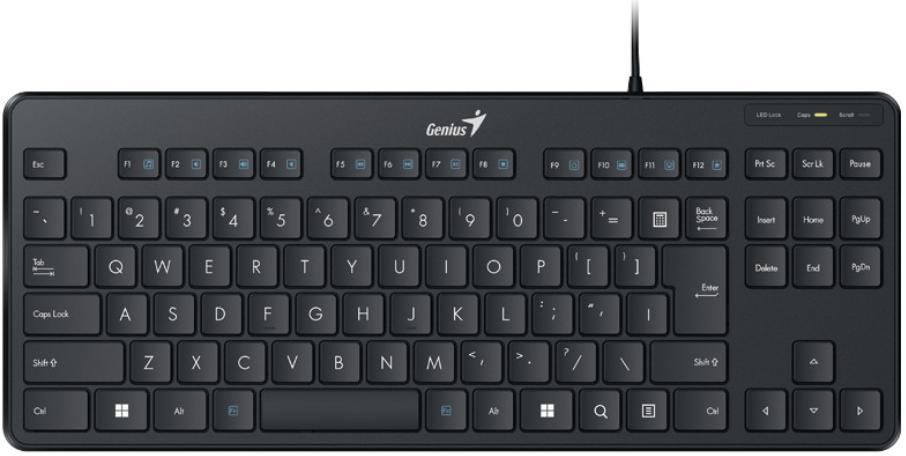 Купити Клавіатура Genius LuxeMate-110 USB Black Ukr (31300012407) | CompX