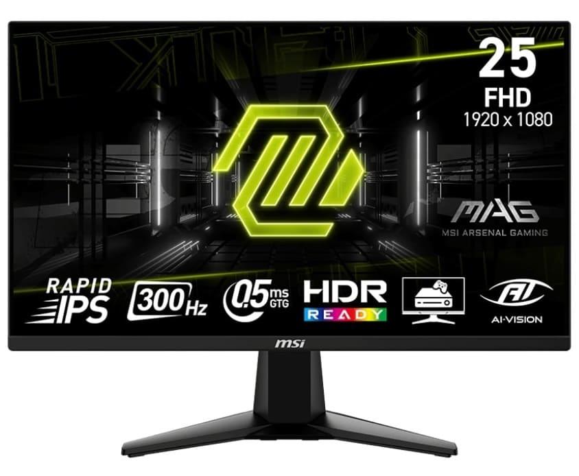 MSI MAG 255XF 24.5 